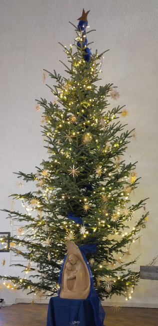weihnachtsbaum_2025